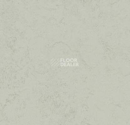 Линолеум Forbo Marmoleum Decibel on Order 373235 asteroid фото 1 | FLOORDEALER